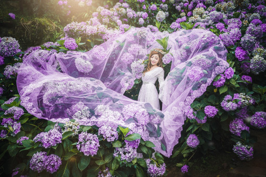 �1757645 �������(a): ����������:2560x1707